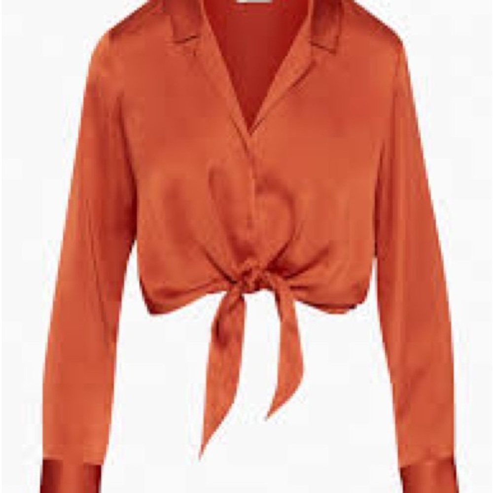 Aritzia Wilfred Satin Tie-Front Blouse in Burnt Orange